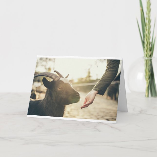 Tarjeta Cabras y cabras (21) (Anverso)