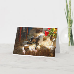 Tarjeta Cabras y cabras (29)