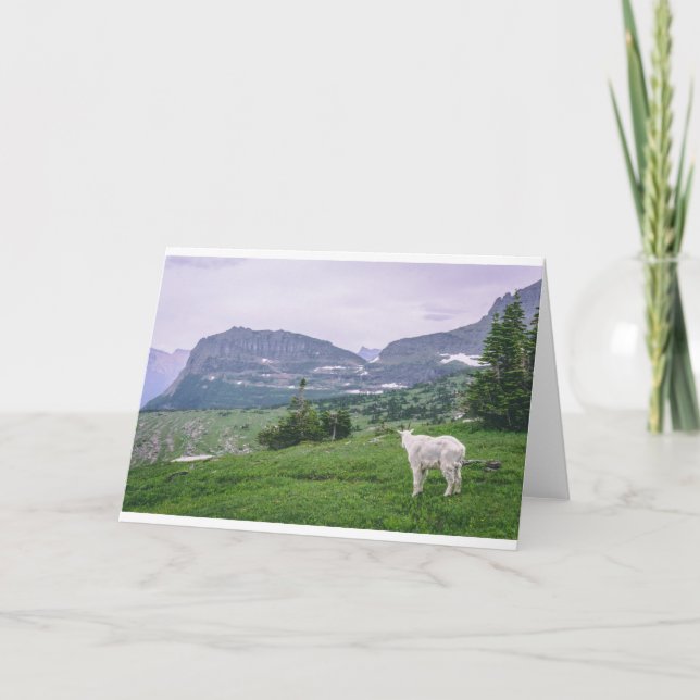 Tarjeta Cabras y cabras (58) (Anverso)