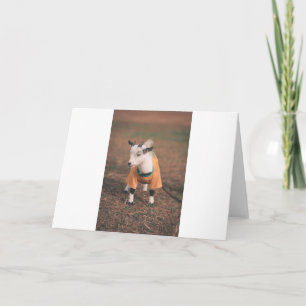 Tarjeta Cabras y cabras (6)