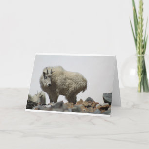 Tarjeta Cabras y cabras (68)