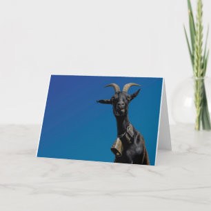 Tarjeta Cabras y cabras (80)