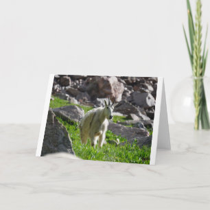 Tarjeta Cabras y cabras y cabras (53)