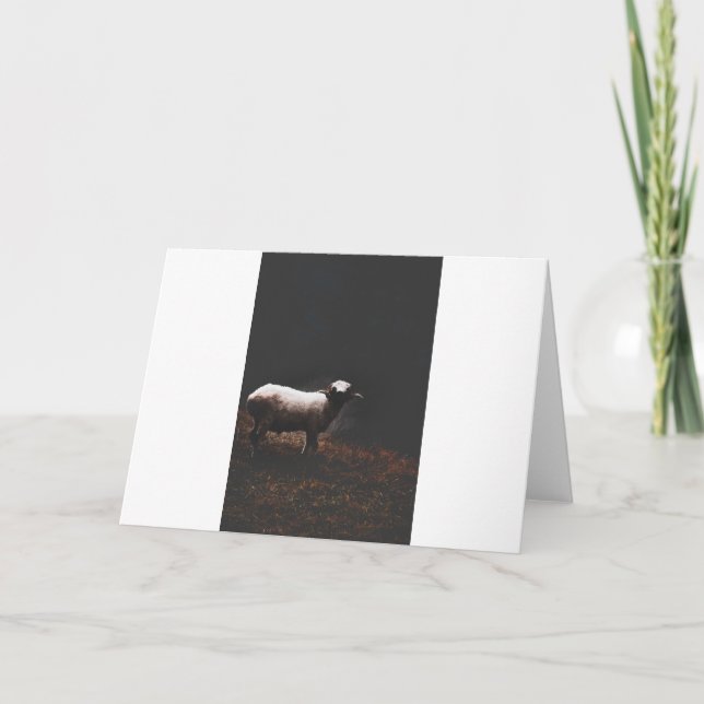 Tarjeta Cabras y cabras y cabras (54) (Anverso)