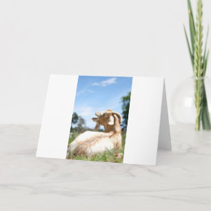 Tarjeta Cabras y cabras y cabras (83)