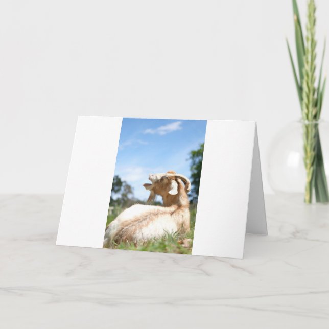 Tarjeta Cabras y cabras y cabras (83) (Anverso)