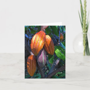 Tarjeta Cacao haiano