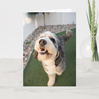 Tarjeta Cachorro Adorable
