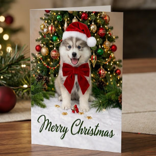 Tarjeta Cachorro adorable de Pomsky con sombrero de Santa