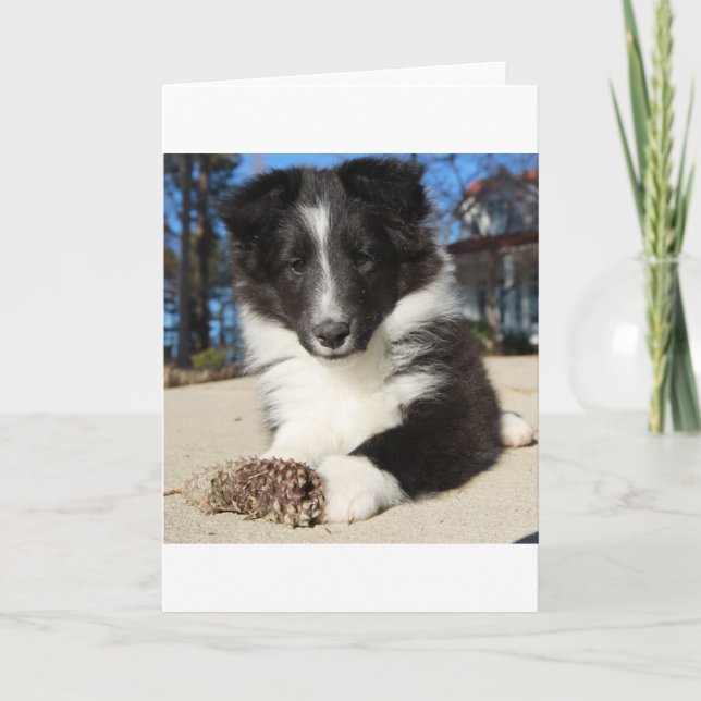 Tarjeta cachorro blanco y negro (Anverso)