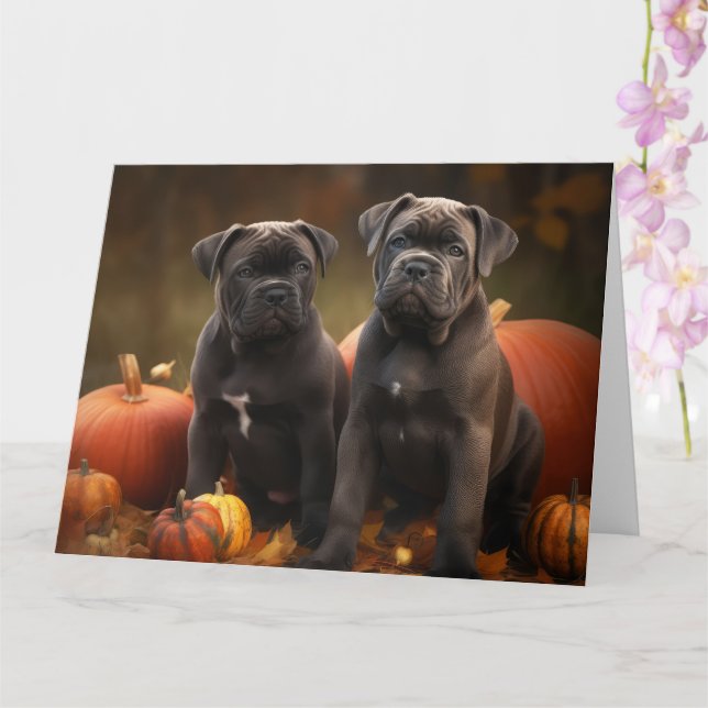 Tarjeta Cachorro Cane Corso Delicia de Otoño Calabaza (Orquídea)