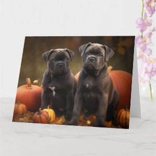 Tarjeta Cachorro Cane Corso Otoño Delicia Calabaza