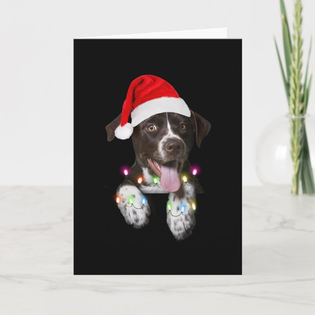 Tarjeta cachorro catahoula sentado luz de navidad (Anverso)