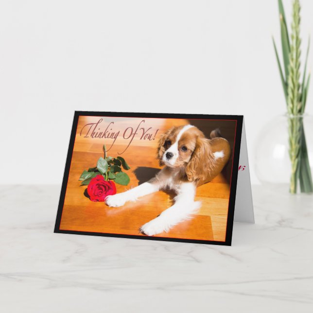 Tarjeta Cachorro Cavalier King Charles Spaniel pensando en (Anverso)