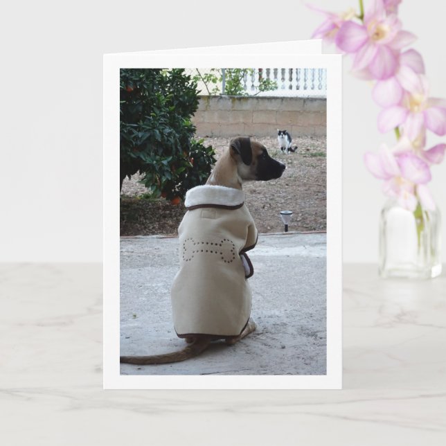 Tarjeta Cachorro con abrigo (Orquídea)