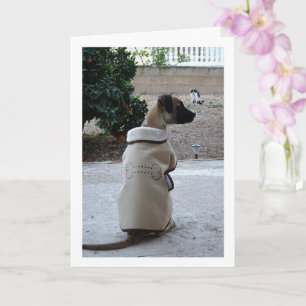 Tarjeta Cachorro con abrigo