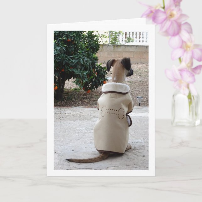 Tarjeta Cachorro con abrigo (Orquídea)