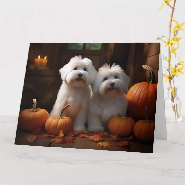 Tarjeta Cachorro Coton De Tulear Delicia de Otoño Calabaza (flor amarilla)