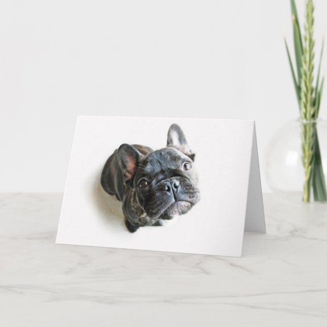 Tarjeta Cachorro de Bulldog francés (Anverso)