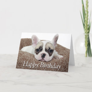 Tarjeta Cachorro de Bulldog Francés En Una Cama De Perro