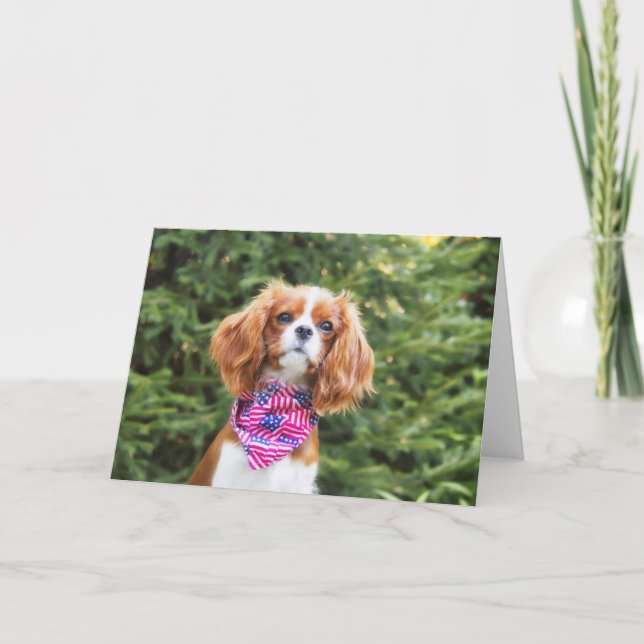 Tarjeta Cachorro de Cavalier King Charles Spaniel 4 de jul (Anverso)