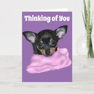 Tarjeta Cachorro de Chihuahua negro y café
