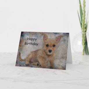 Tarjeta Cachorro de Chihuahua/Yorkie