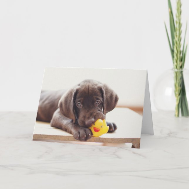 Tarjeta Cachorro de chocolate con pato de juguete (Anverso)
