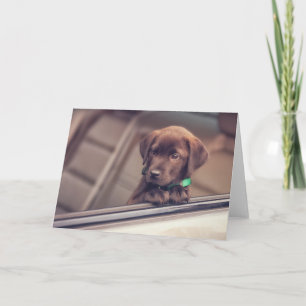 Tarjeta Cachorro De Chocolate En Coche