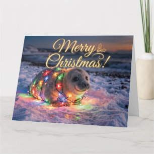 Tarjeta Cachorro de foca adorable envuelto en luces de Nav