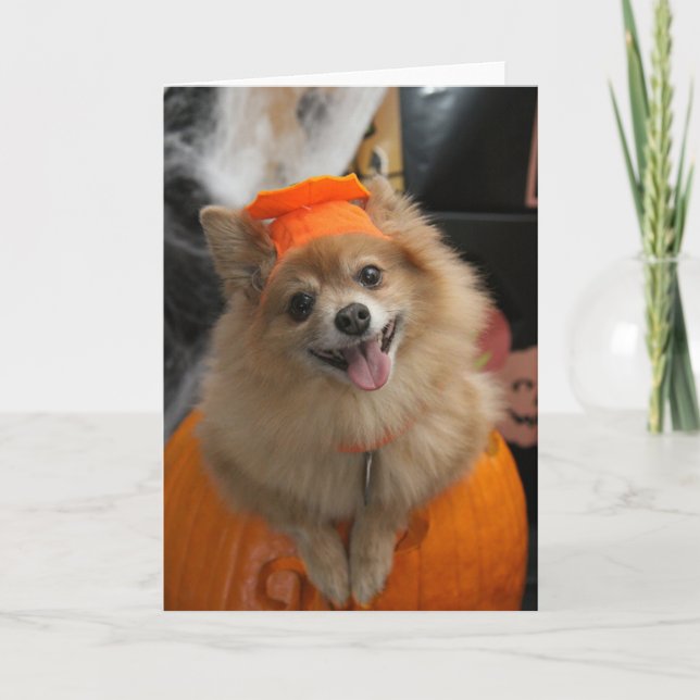 Tarjeta Cachorro de Foxy Pomeranian sonriendo en Halloween (Anverso)