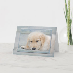 Tarjeta cachorro de Golden Retriever en marco azul