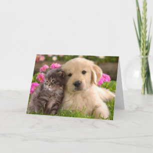 Tarjeta Cachorro de Golden Retriever y Amor de Gatito