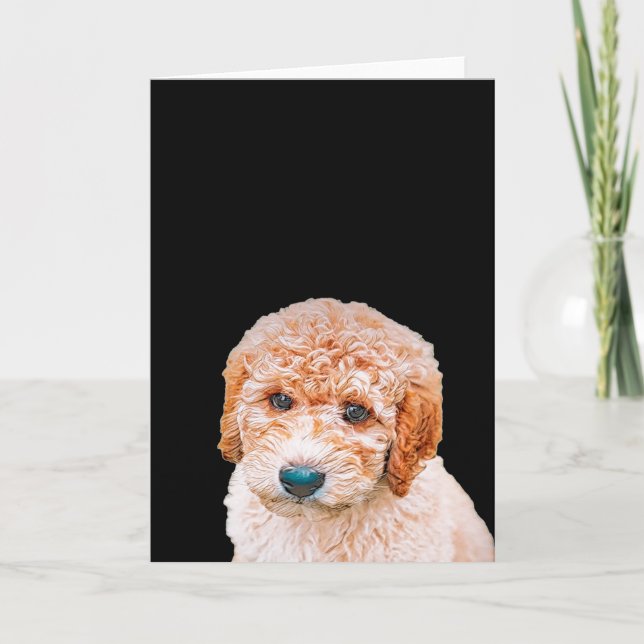 Tarjeta Cachorro de labradoodle (Anverso)