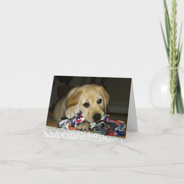 Tarjeta Cachorro de labrador amarillo con juguete (Anverso)