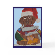 Cachorro de Labrador de Chocolate con sombrero de