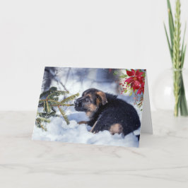 Tarjeta Cachorro de Pastor Alemán con Flor de Pascua en Ac