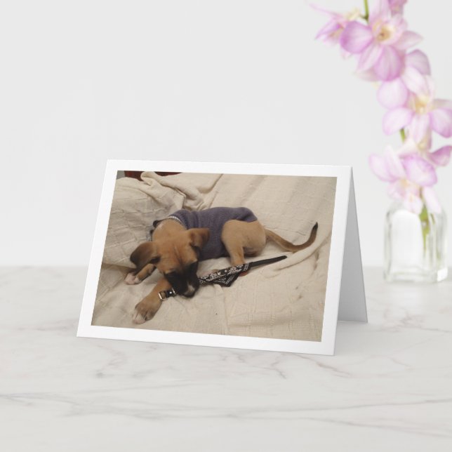 Tarjeta Cachorro de perro (Orquídea)