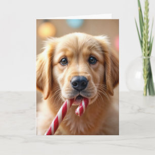 Tarjeta Cachorro de Retriever Dorado de Navidad y un Bastó