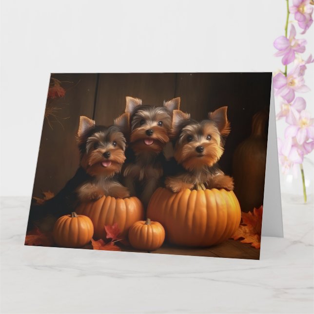 Tarjeta Cachorro de Yorkshire Autumn Delight Pumpkin  (Orquídea)
