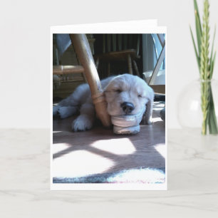 Tarjeta Cachorro dorado durmiente