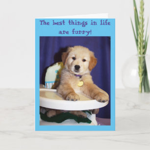 Tarjeta Cachorro dorado en silla alta - Nuevo Mascota