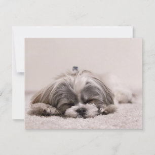 Tarjeta Cachorro dormido