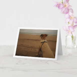 Tarjeta Cachorro en la playa