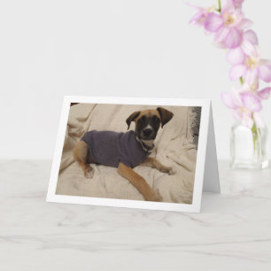 Tarjeta Cachorro en un Jersey