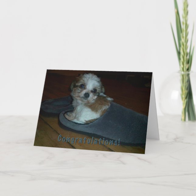 Tarjeta Cachorro en zapatillas, felicitaciones por la adop (Anverso)