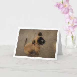 Tarjeta Cachorro Enamorado
