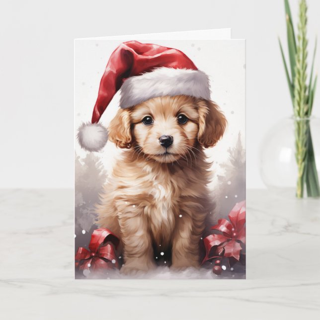 Tarjeta Cachorro esponjoso en un Navidad de Santa Hat (Anverso)