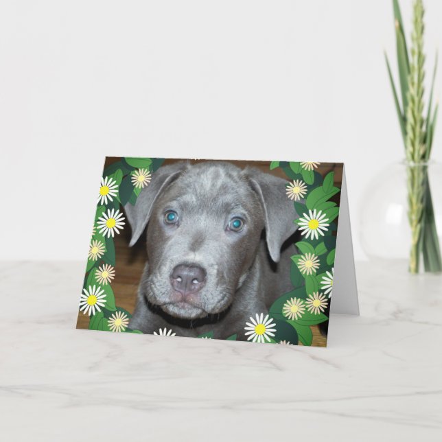 Tarjeta Cachorro Labrabull con Flores / Foto de Perro Masc (Anverso)