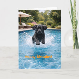 Tarjeta Cachorro Labrador Negro se Zambulle en la Piscina 